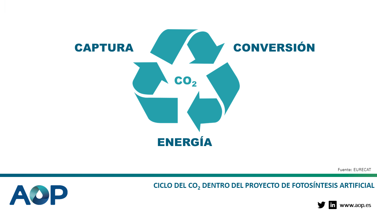 Ciclo del CO2 dentro del proyecto de fotosíntesis artificial